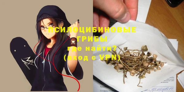экстази Арсеньев